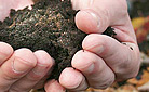 compost-138x85